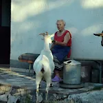 And Suzana Kršan