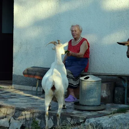 And Suzana Kršan