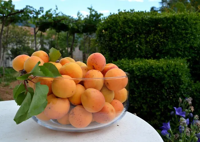 And Suzana 3* Kršan