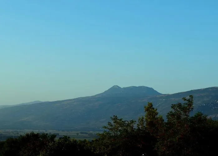 And Suzana Gæstehus