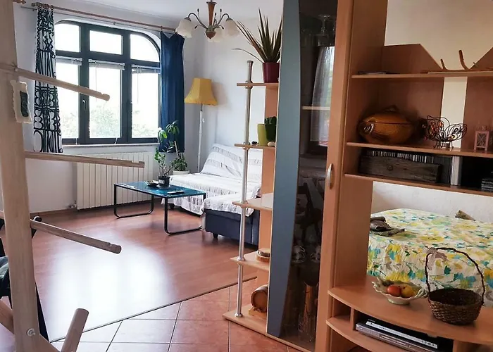 And Suzana Gæstehus